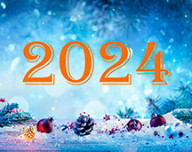 Новогодняя программа 2024